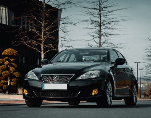 david-von-diemar-3-Y9bVm9h0M-unsplash